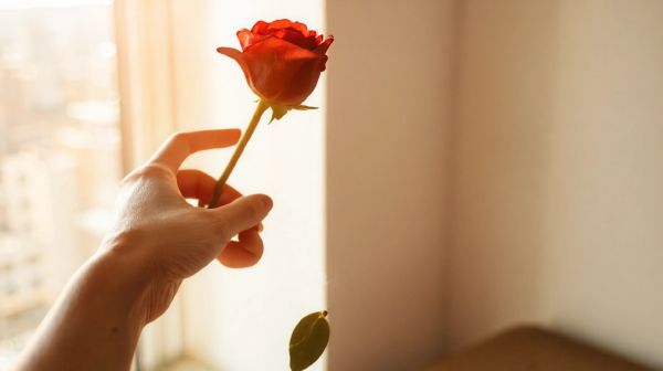 Les roses : un geste mémorable pour dire adieu